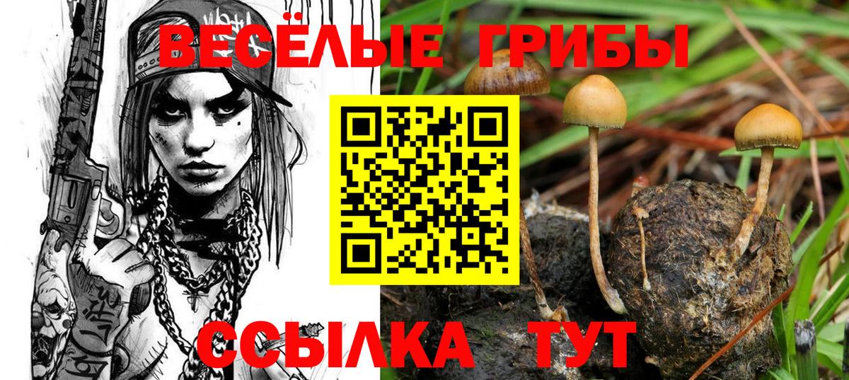 Кстово  Псилоцибиновые грибы MAGIC MUSHROOMS  Вход с VPN 